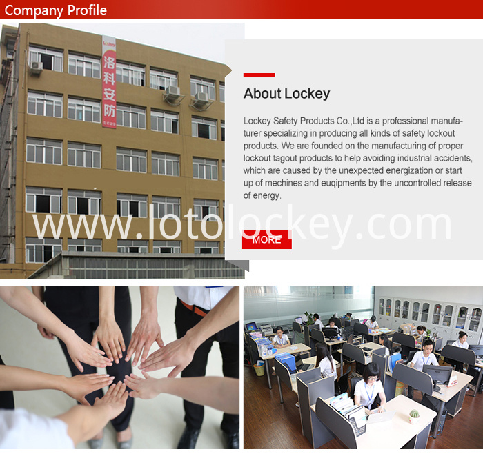 Company Profile Company Profile